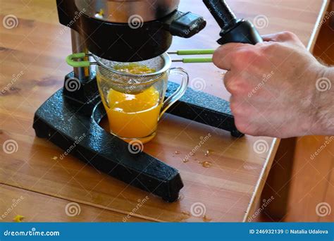 Orange Juicer. a Man Squeezes Juice Stock Image - Image of citrus ...