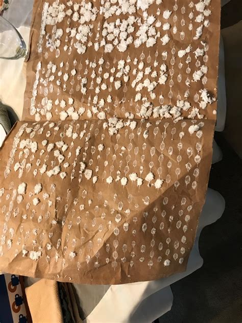 Amazon.com: Soma Gift Card : Gift Cards