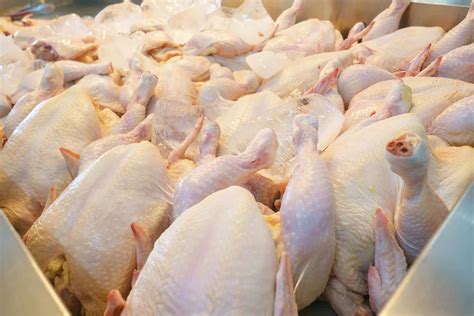 How To Store Costco Rotisserie Chicken | Storables