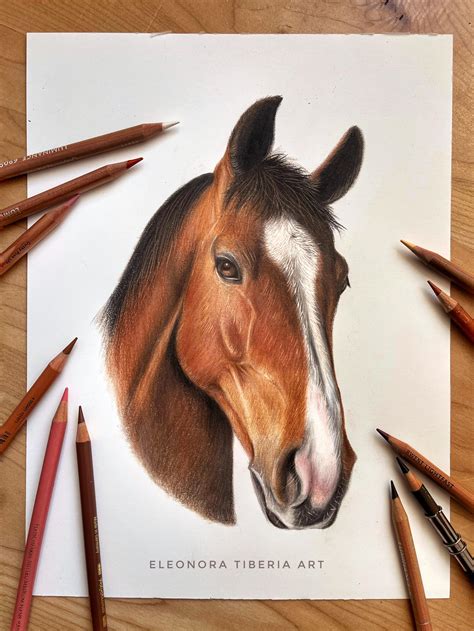 Colored pencil portrait of a stunning horse : r/drawing
