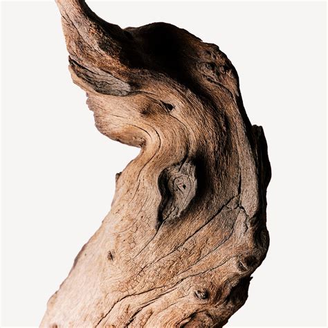 THE ESSENCE 2025 perfume by Francesca Bianchi - Wikiparfum