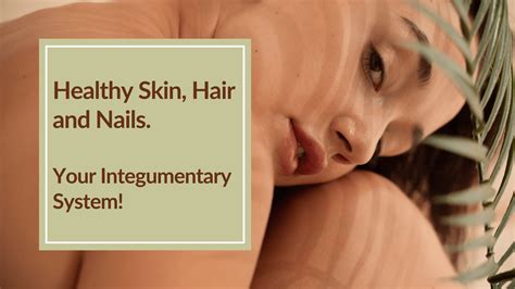 The Integumentary System: Skin, Hair and Nails - CBH Energetics
