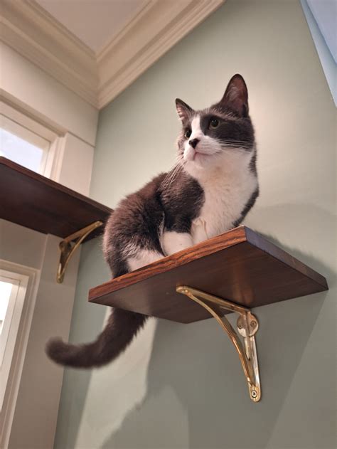 Mac — A Sanctuary Cafe