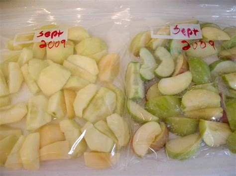 Freezing Apples - Southern Plate