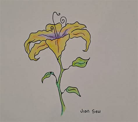 Tangled Flower Drawing Step by Step