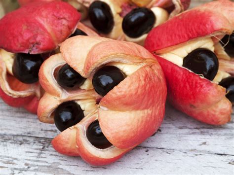What Is Ackee Fruit?