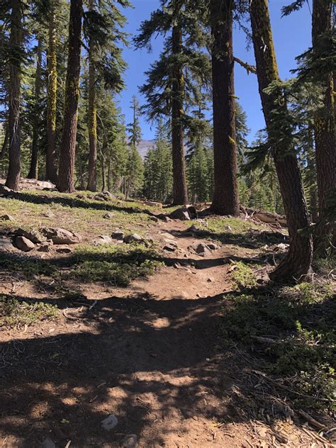 Mt Shasta and the return to the Telos portal - June 2021 - 40kftview.com