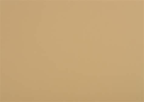 Rosaline Dawn Hines – Nez Perce Tribal News