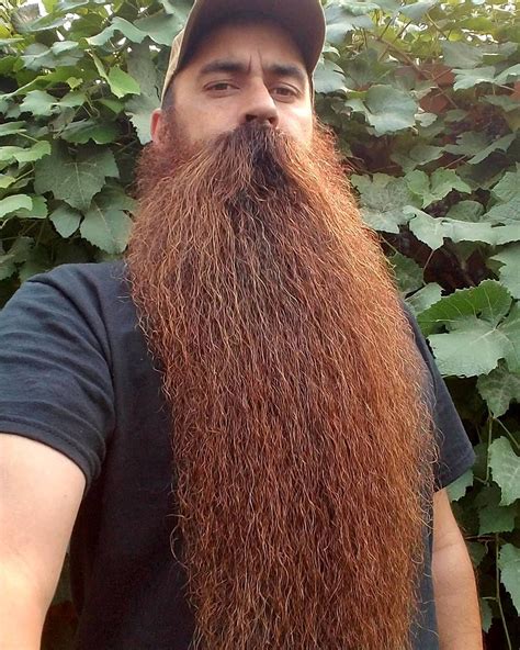 thebeardapostle.com | Long beard styles, Beard styles, Long beards