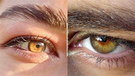 Amber Eyes: Rare Eye Color, Meaning & Contact Lens Match - Billionaire ...