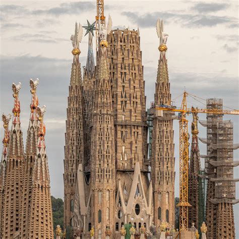Sagrada Familia Background Sagrada Familia Linear Vector Background
