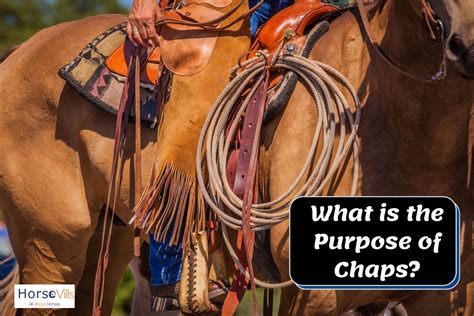 What Are Riding Chaps for? Do You Really Need Them? – My Store