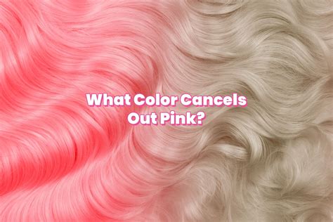 What Color Cancels Out Pink Hair? | Arctic Fox | Arctic Fox Hair Color Blog