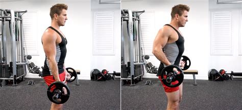 Seated Barbell Curls Build Bigger Biceps | Muscular Strength