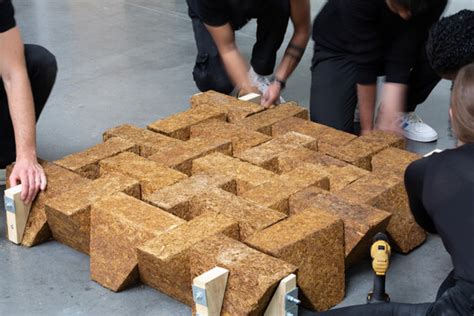 From Agro-Waste to Sustainable Structures: Concrete Alternatives Made ...