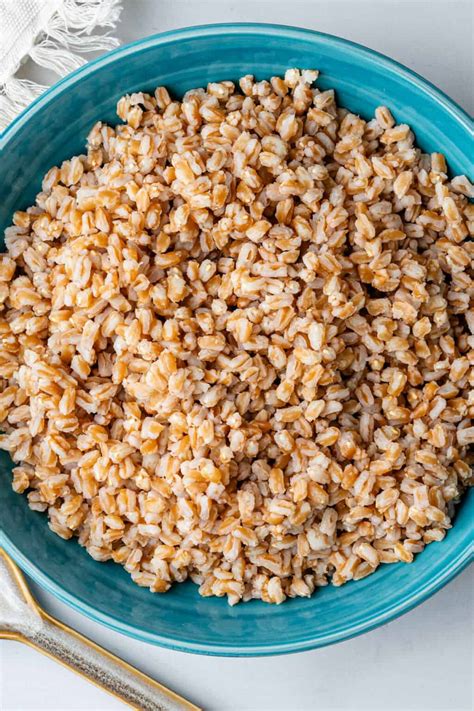 How to Cook Farro (Perfect Everytime!) - Cooking With Ayeh