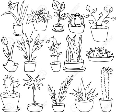 House Plant Drawing at GetDrawings | Free download