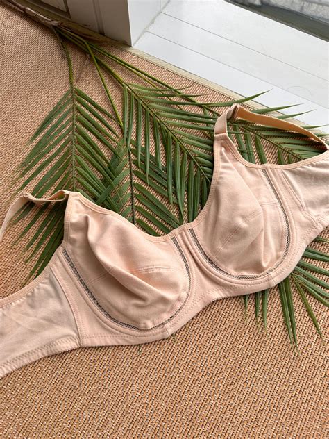 Nude Soft Cup Bra – Fabrainc