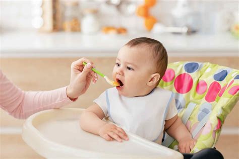 Early-life diet can shape the developing infant gut microbiota | MicrobiomePost