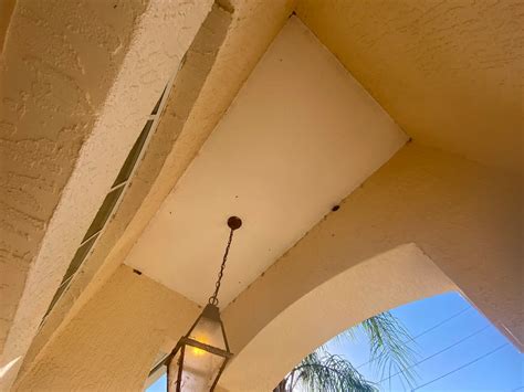 Easily Learn How To Remove Mud Dauber Nest From Your Home