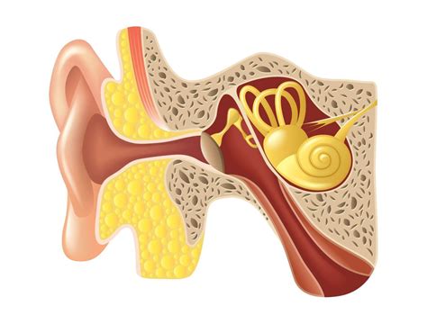 Vértigo Posicional Paroxístico Benigno en adultos mayores - CÓDIGO SALUD