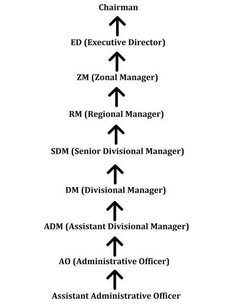 Understanding The Difference Between LIC AAO, Bank PO, SSC CGL - Which ...