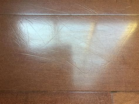 Can Dogs Scratch Hardwood Floors