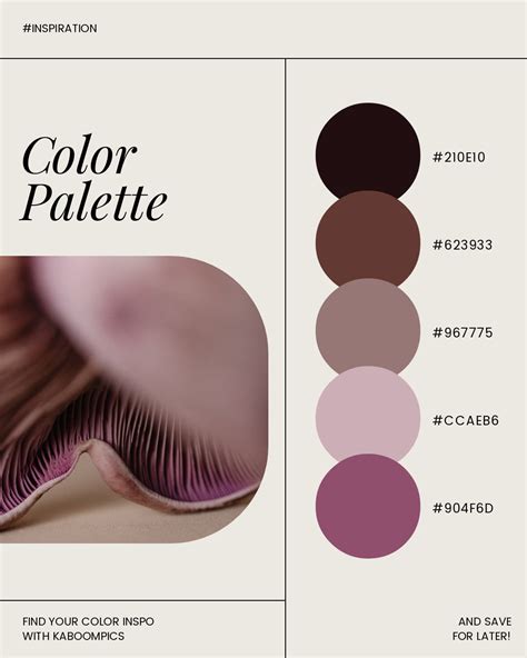 Mushroom Aesthetic Free Photos – Purple-Gilled Wood Blewit – Fungi ...