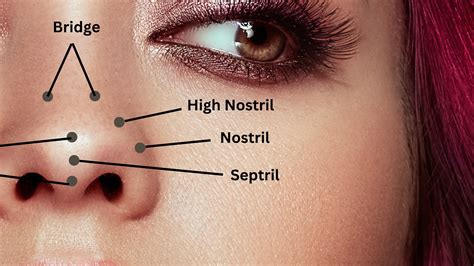 Nose Piercing Positions: Choosing the Right One