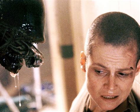 Travis Fimmel's Best Films And TV Shows