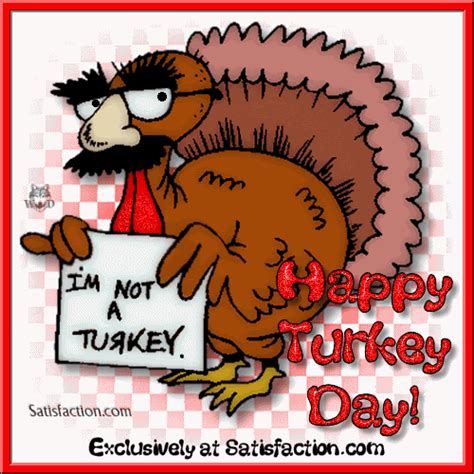 Funny Thanksgiving Gif Free Download For Facebook