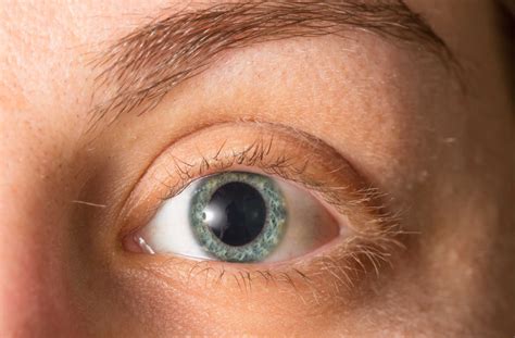 What Do Optometrists See When They Dilate Your Eyes?