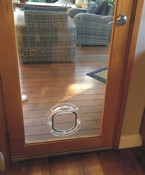Standard Cat Door for Glass Door Installation - Sydney Pet Doors