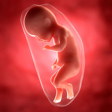 34 Semanas de Embarazo | Preguntas del Embarazo