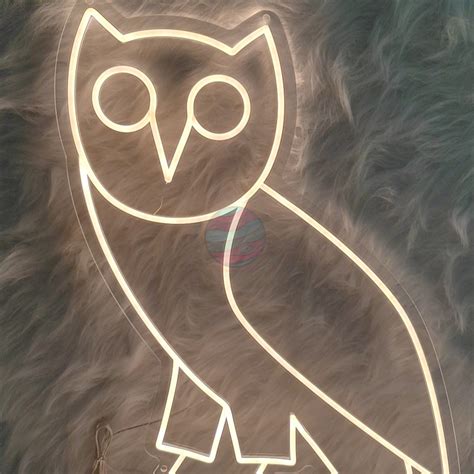 Drake Ovoxo Owl Logo