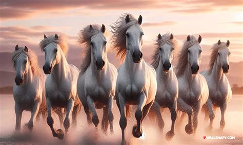 7 Horse Images Hd Wallpaper 4k For Pc - Infoupdate.org