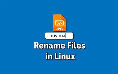 How to Rename Files in Linux using Terminal? - TechSphinx