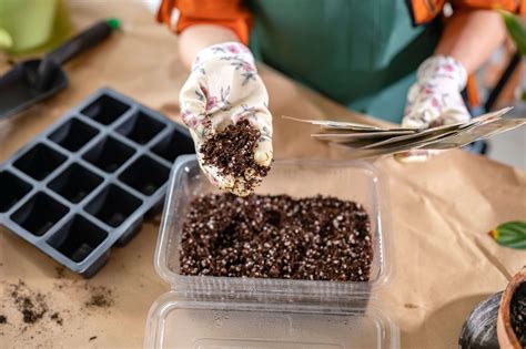 Seed Starting Mix: What It Is and How to Make a Better One