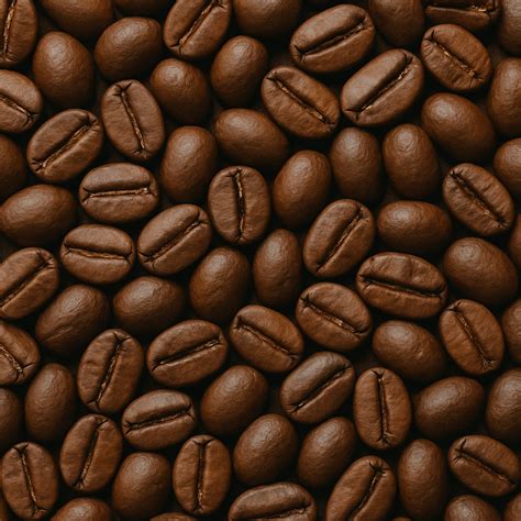 Supplier Coffee Egypt - Premium Beans, Roasted & Ground | Misefa.com