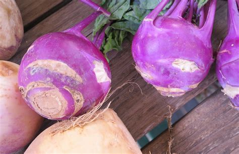 Names Of Purple Root Vegetables