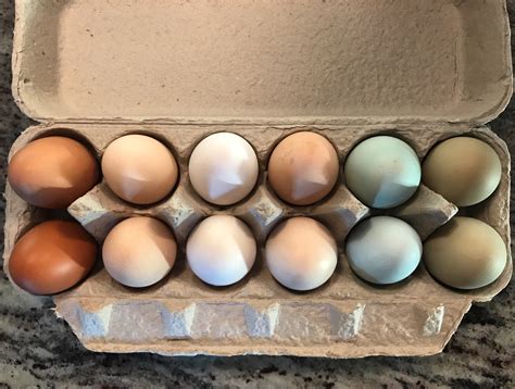 One Dozen Eggs- Local Delivery - Picalily Farm