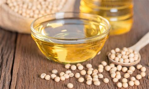What is High Oleic Soybean Oil? A Comprehensive Guide for Kitchen Prof