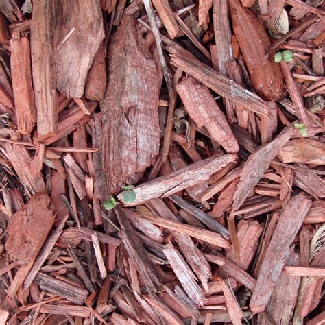 Best Wood Mulch For a Playground: Wood Chips Vs Rubber - The Homestead ...