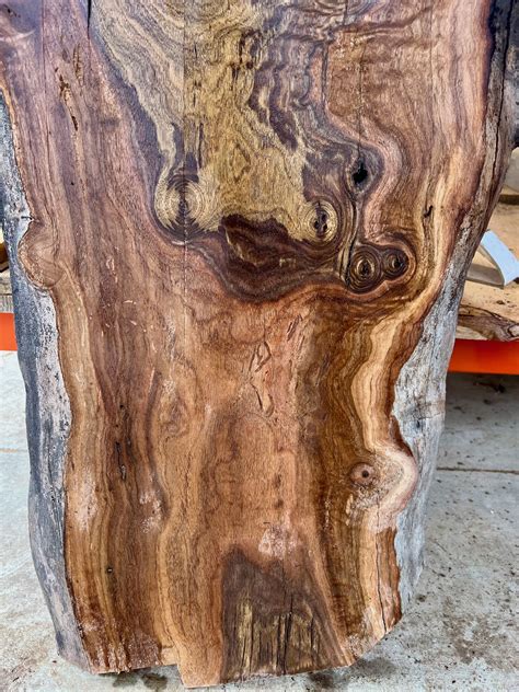 Walnut Wood Slab 45 1/2" x 20 3/4" x 1 1/2" - Frison-Logue Hardwoods