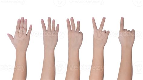 Children hand showing one to five fingers count isolated on transparent background PNG file ...