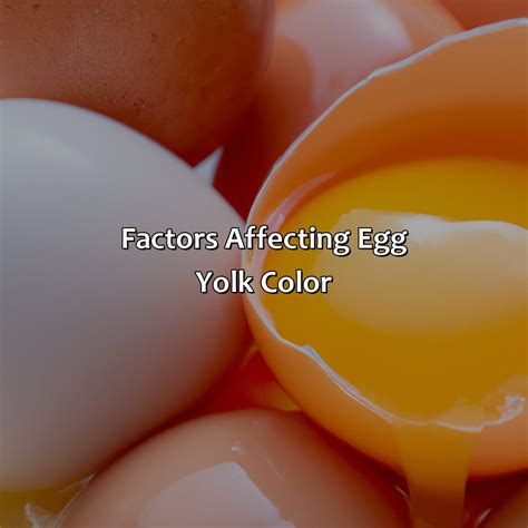 What Does The Color Of Egg Yolk Mean - colorscombo.com