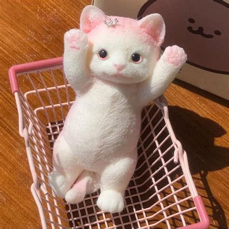 Blukids Realistic Cat Squishy,Taba Squishy,Stress Reliver,Gift for Kids ...