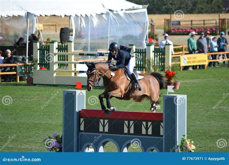 Paso Robles Horse Park Jumping Grand Prix Editorial Photo - Image of ...