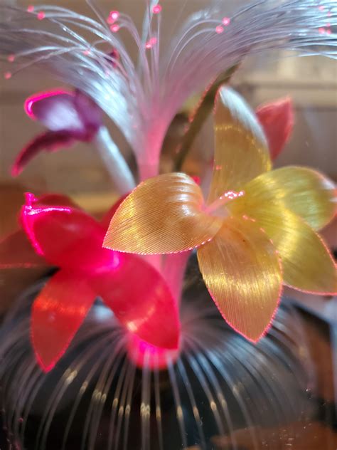 Vtg Fiber Optic Flower Lamp Special Lower Price - Etsy