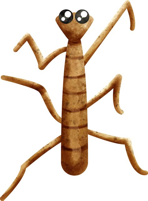 watercolor insect stick bug 36912030 PNG